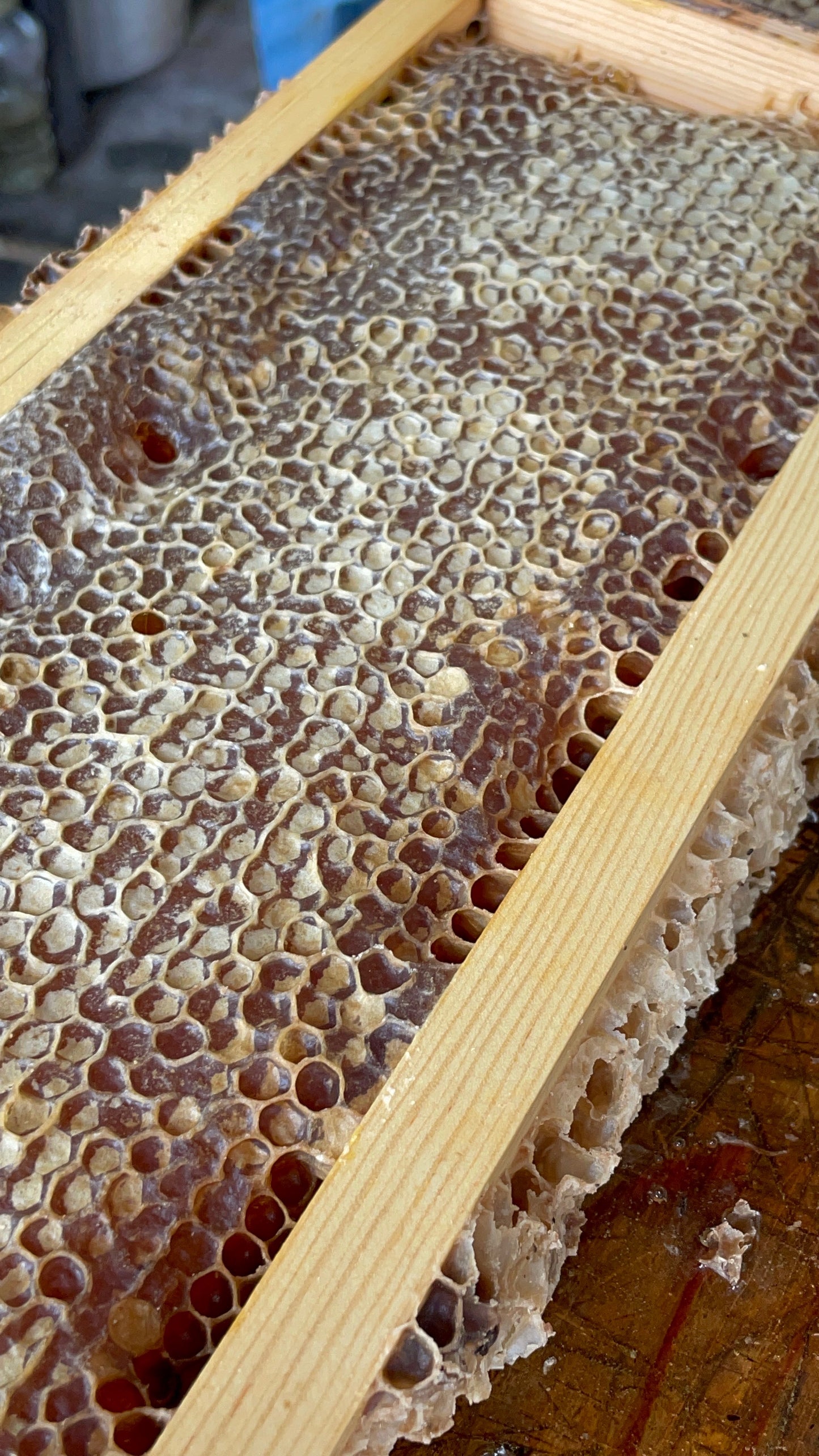 Honeycomb