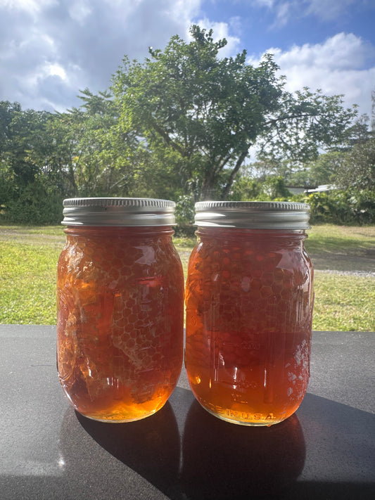 Special Honeycomb jars