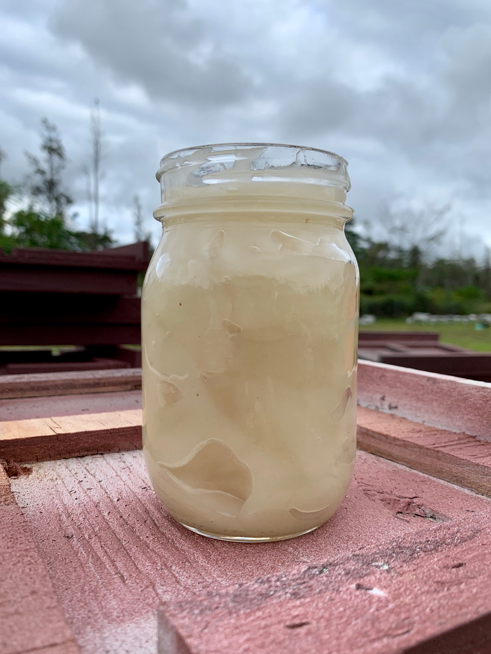 White Creamy Honey ❗️Keep Refrigerated ❗️ - Hawaiian Honey AT&S
